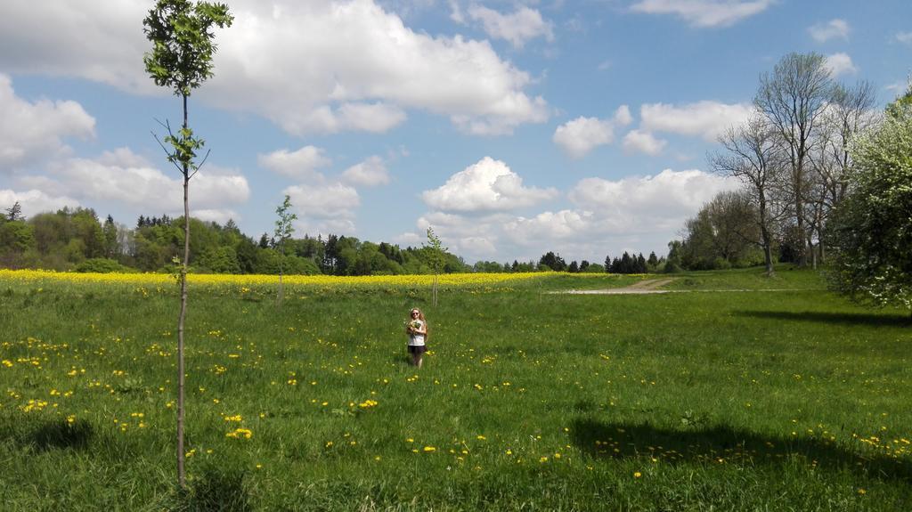 Apartmany Na Rozcesti Lomnice nad Popelkou Bagian luar foto